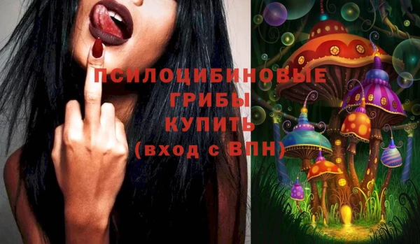 сатива Осташков