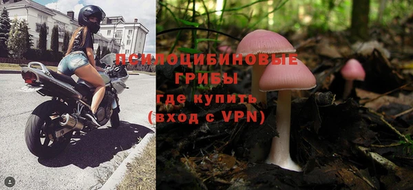 PSILOCYBIN Армянск